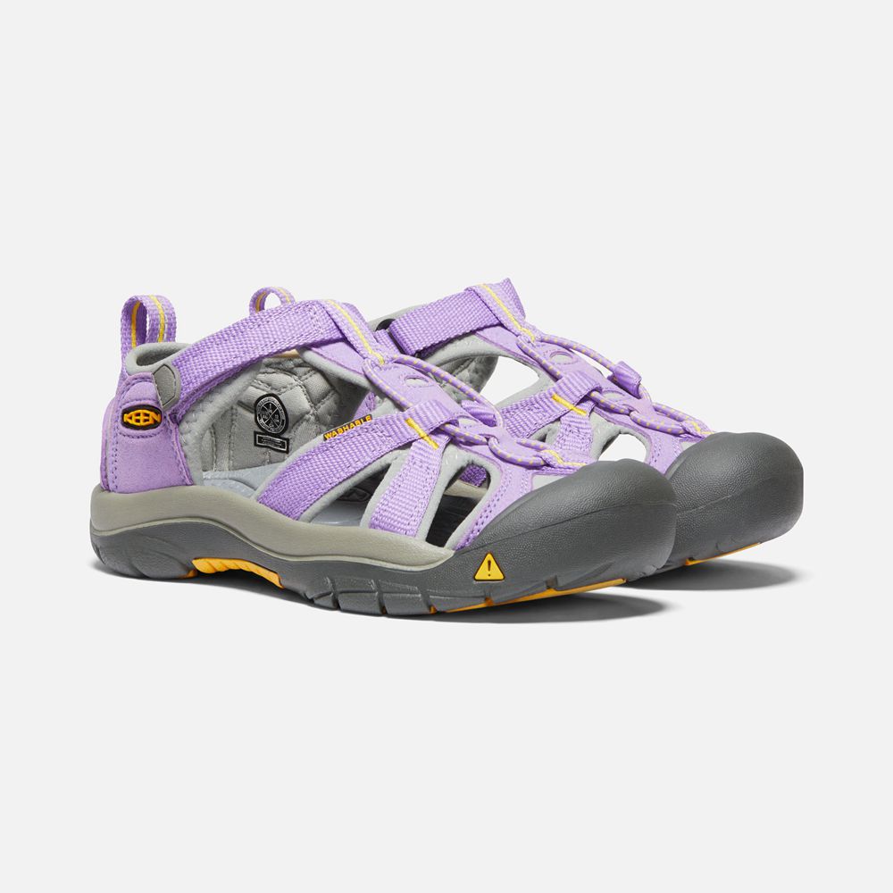 Sandalias Keen Mexico Morados - Niños Venice H2 - GB7456832